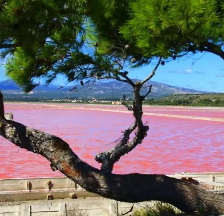Aux Portes De La Camargue Nocleg ze śniadaniem 3*