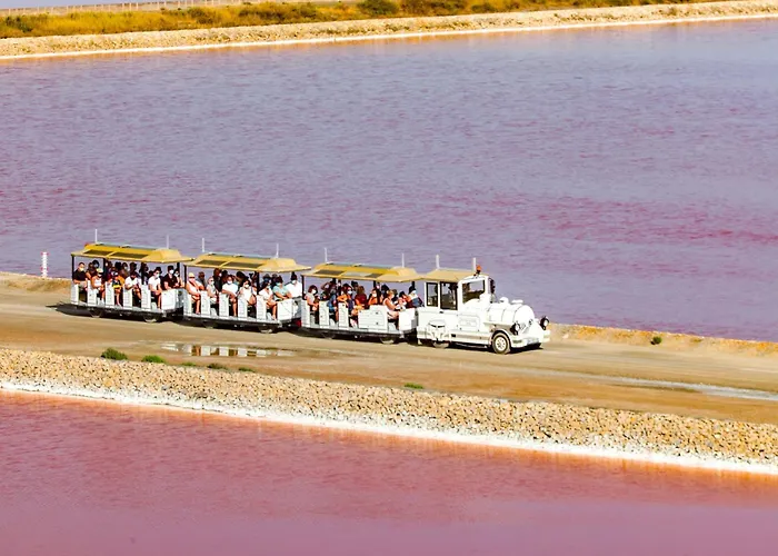 Aux Portes De La Camargue 3*
