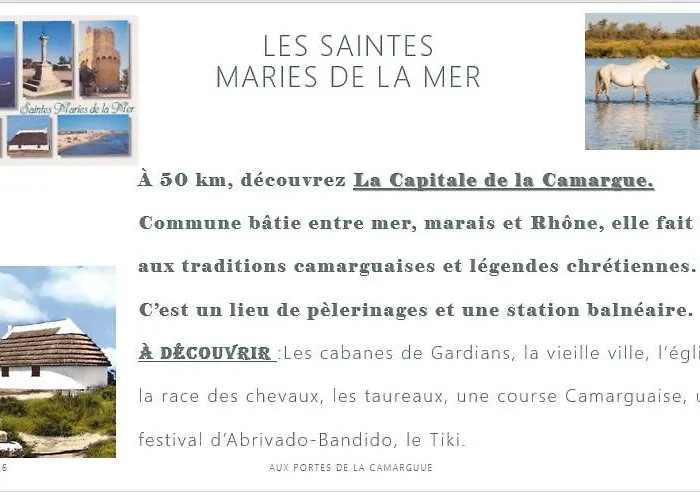 Aux Portes De La Camargue